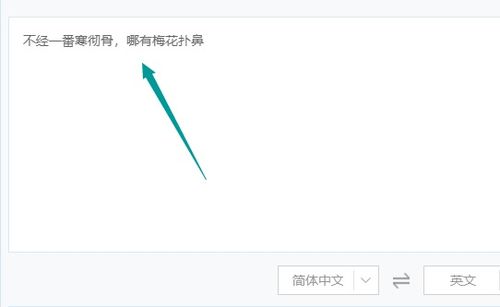 英文太差怎么办 实现中英文翻译简单技巧分享
