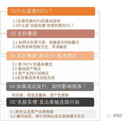 消失的 首例 友好集团 类REITs 出表 名股实债 金融创新是与非 