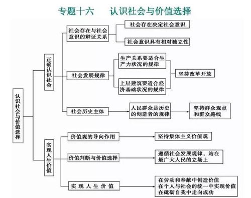 高中如何构建知识体系