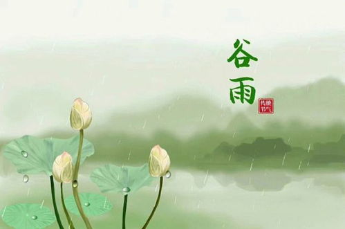 属鼠,2023年4月6日 20日 谷雨节气 运势不佳