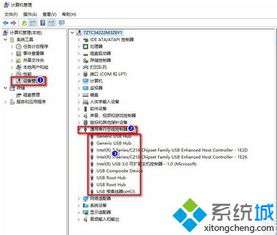 win10插移动硬盘显示两个