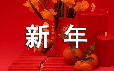 我的新年愿望作文400字 