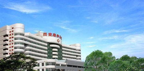 陕西医药产业投资专家孟祥海：陕西高校和医院领域独具优势