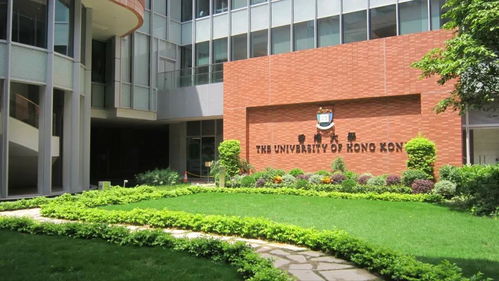 香港大学宣布延长申请 雅思最低6分即可申请