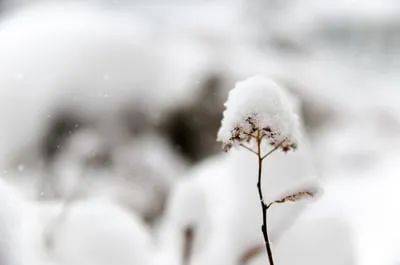 雪是水的白发(如雪的白发)