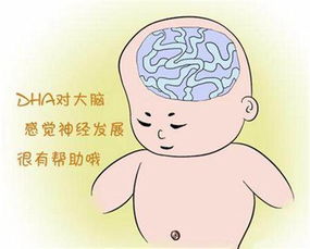 宝宝营养素大盘点,这5种营养素你补对了吗