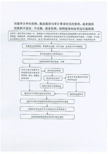 对被审计单位拒绝 拖延提供与审计事项有关的资料,或者提供的资料不真实 不完整,或者拒绝 阻碍检查的处罚