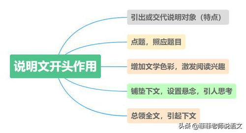 查重失败常见原因及应对策略