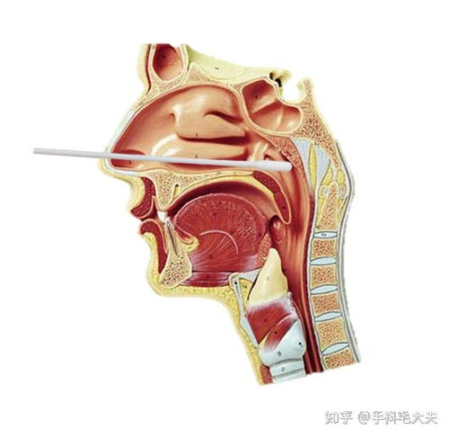 如何看待美国将进行全民新冠抗体检测,获得免疫者立即复工 