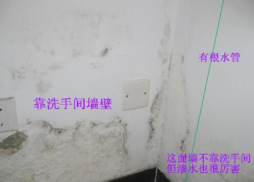 成都家里漏水怎么查 地下管道漏水探测 漏水检测公司