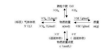 物质的量和物质的质量有什么关系