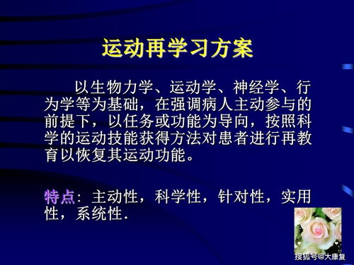 康复治疗技术心得体会800字 康复技术主要是学什么