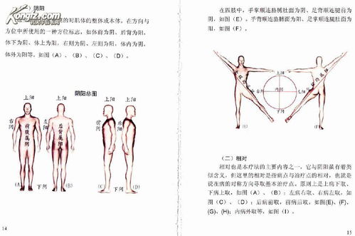 中国新针刺 八字治疗法 李柏松博士独创治疗法,内含万宝功能汤二十四种加减方 下单前注意看描述