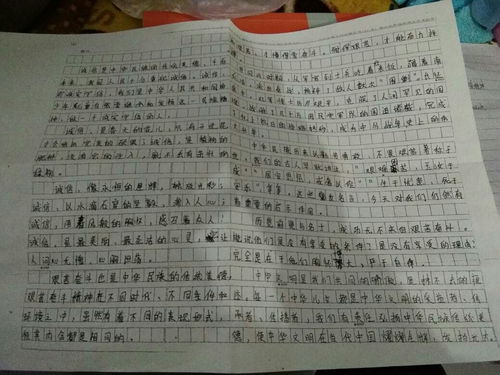 中国作文传统文化作文300字