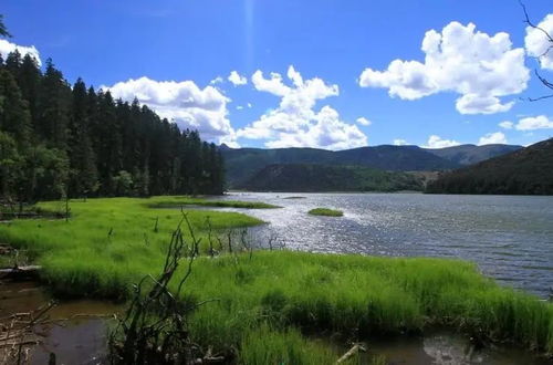 请保持那一份热爱,奔赴下一场山海