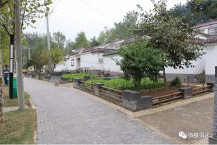 泗阳厉害了 李口八堡村成为全国环境整治示范村 