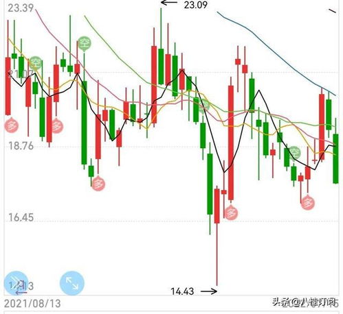 楼市暴跌,碧桂园仍然是老大 下半年是否能实现奇迹逆转呢