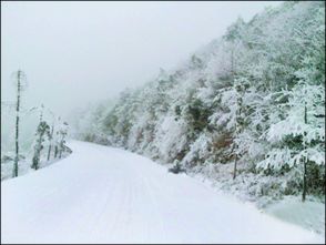 重庆迎下半年来最冷天 多个景区飘下今冬首场雪 重庆首页 