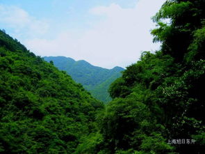 山沟沟 汤坑 二