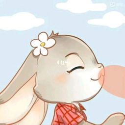 摩羯座兔子可爱头像女生，摩羯座的兔子(摩羯座可爱q版人物)