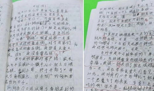 零花钱的故事作文600字