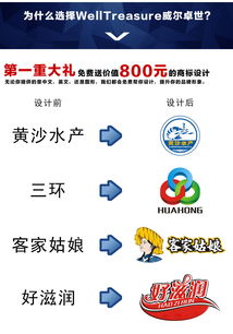 中国商标注册 商标起名公司个人申请中国商标 威尔卓世
