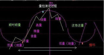 90 散户不知道的选股绝技,不看不知道 一买就涨