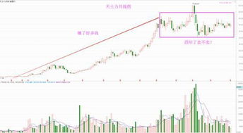 股市里，机构赚了钱是给谁的?