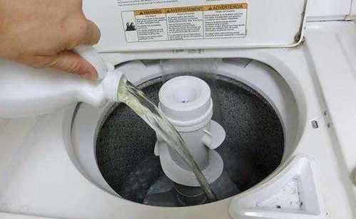 洗衣机清洗别大意 只要学会这1招,洗衣机彻底洗干净