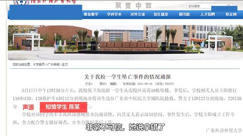 大学公选课论文查重吗