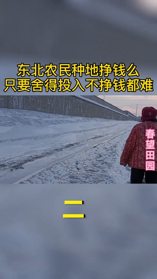 东北农民种地挣钱么,只要舍得投入不挣钱都难二 