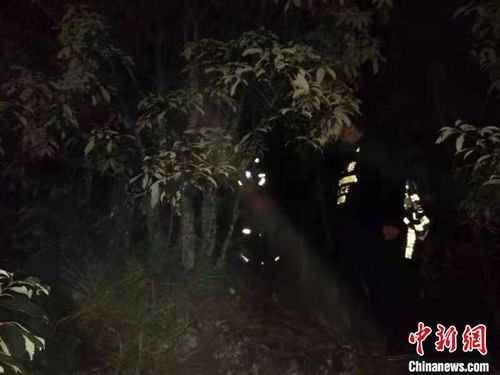 4名游客受困昆明深山 警民联动雨夜救援