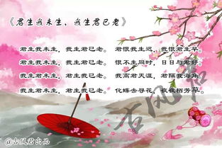 关于美丽的中国我爱你的诗句