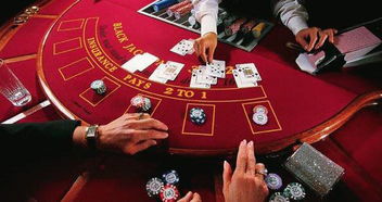 好赌的中国人 杭州保姆纵火案中的赌瘾行为分析 热点