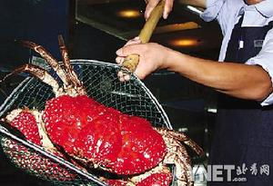 3 5公斤巨蟹进京