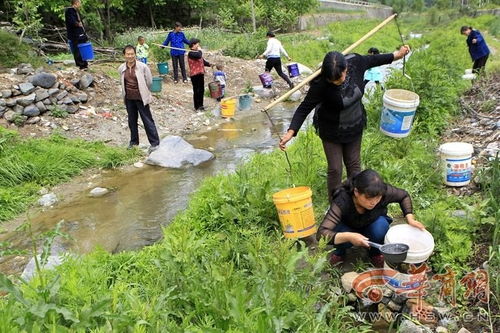 坏水泵无人修 村民到河里舀水 