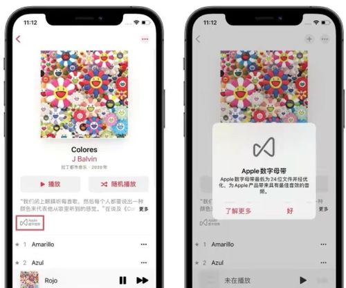 苹果 X iPhone11升级iOS14.6怎么样 iOS14.6正式版更新了什么