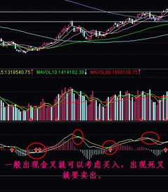 MACD的作用是什么，通过它能够反映什么