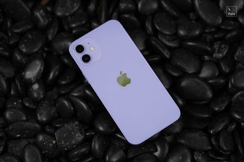 紫色 iPhone 12 图赏 华贵而又质朴,雅静而又热烈