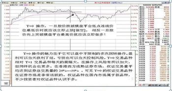 在中国靠股票挣到钱的人有多少?