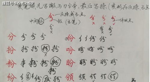 行书行草 连笔字 ,练这种字体,特别容易找到感觉,零基础直接练