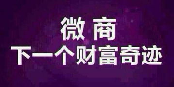 天杞园美姿减肥特膳官方合伙人火爆招商中