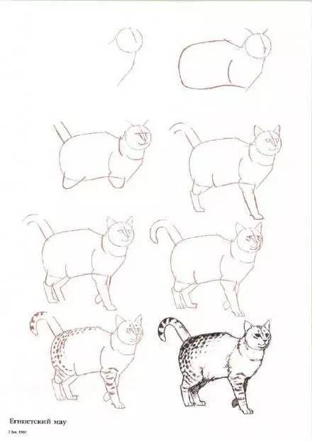 教你快速画猫,学会了吗 