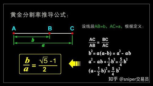 外汇交易中“放大”是什么意思？？