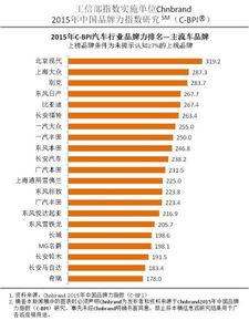 2015年C BPI汽车行业报告