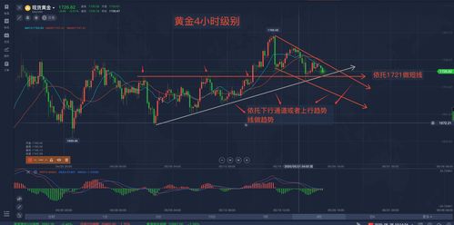 迷路者的反思：我为什么抛弃中长线去做日内短线？