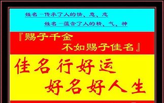 木子命理 决定你一生财运多少的4大因素 