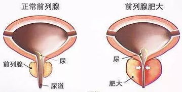 这位株洲青年医师了不起,在全国医学大佬面前展风采