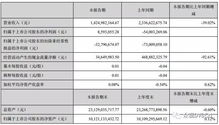 怎么在纽交所查上市国外公司的年报、季报