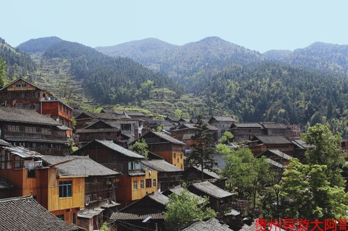 看网友贵州旅游攻略,贵州自助旅游评价好的当地导游,贵州旅游详细攻略自由行